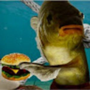 Meet your Posher, Leo